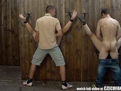 Die geilen Luder am Glory Hole gebumst